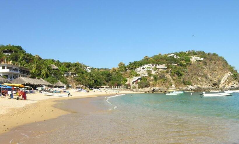 Отель Cordelia's