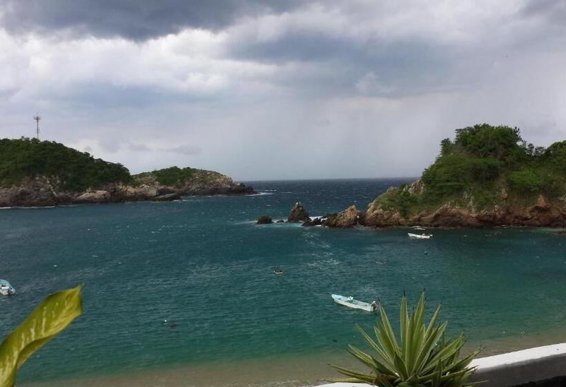 Отель Cordelia's