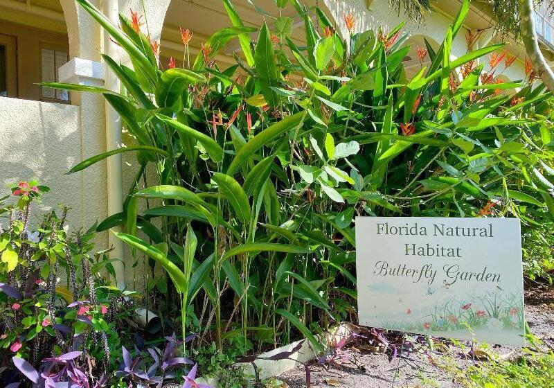 فندق Crystal Bay Historic