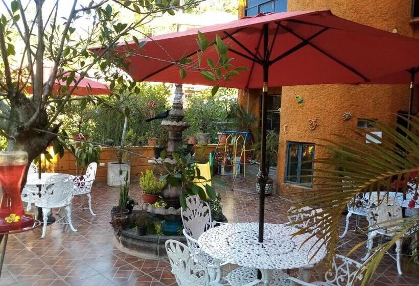 ホテル El Paraiso