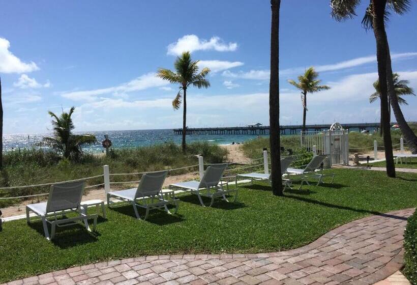 酒店 High Noon Beach Resort