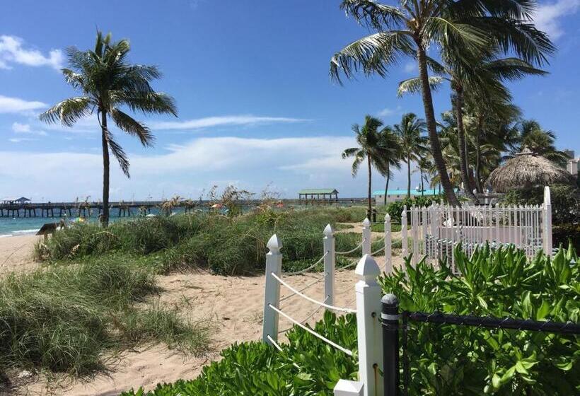 酒店 High Noon Beach Resort