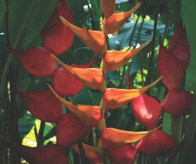 בית מלון כפרי La Casa De Piedra By Rotamundos