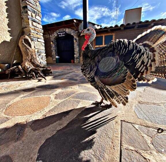 בית מלון כפרי Mi Ranchito Chignahuapan
