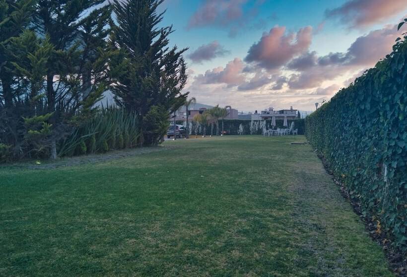 Отель Osalle Inn