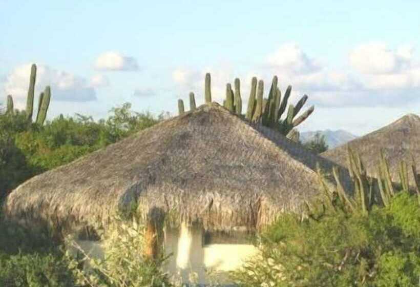 酒店 Palapas Ventana