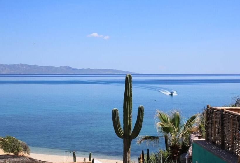 酒店 Palapas Ventana