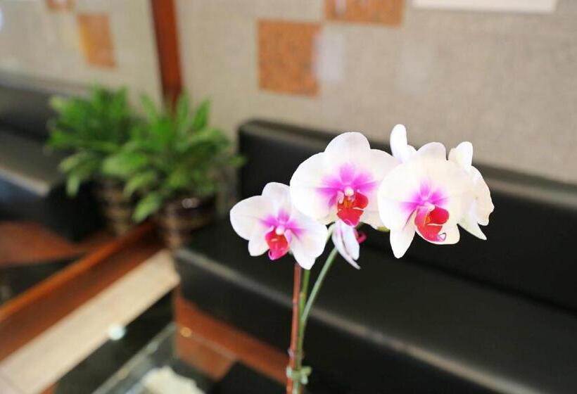 Phoenix Hotel Brooklyn Sunset Park