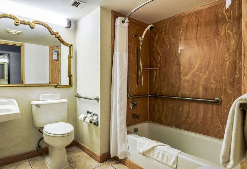 فندق Quality Inn & Suites