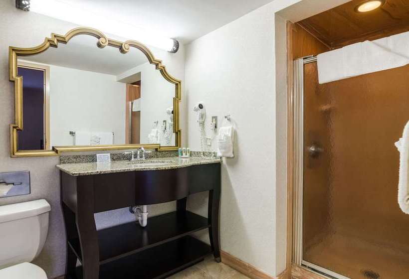 فندق Quality Inn & Suites