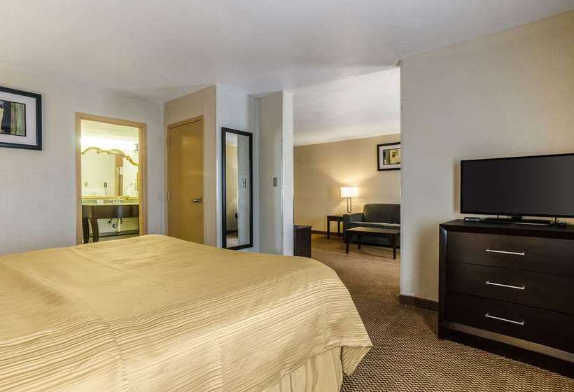 فندق Quality Inn & Suites