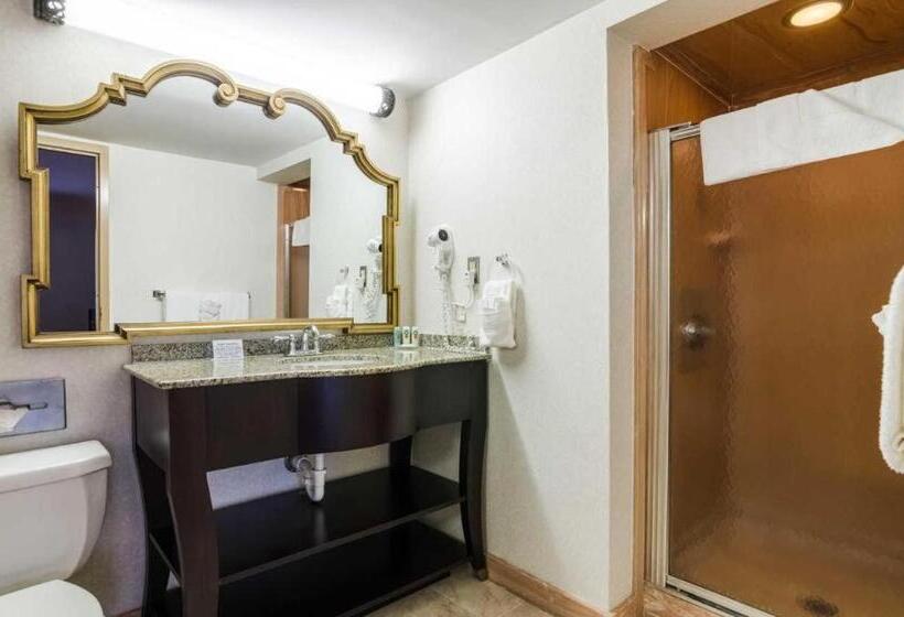 فندق Quality Inn & Suites