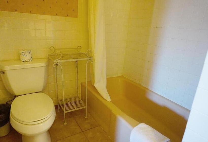 هتل Stay Saratoga