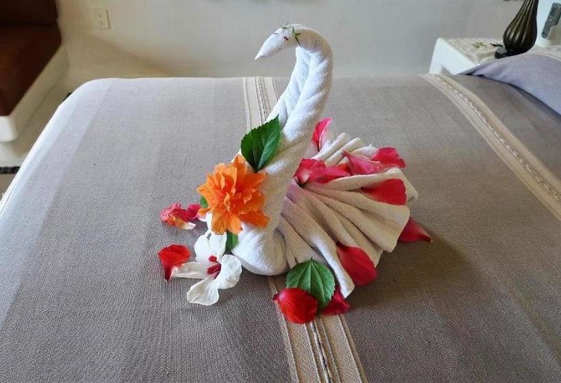 فندق The Studios At Solana Boutique B&b