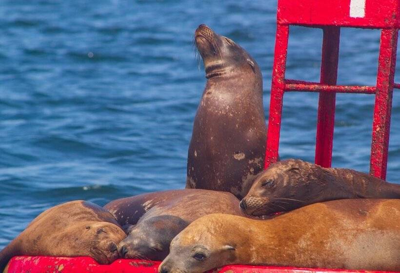 ホテル Villas Mar Y Arena