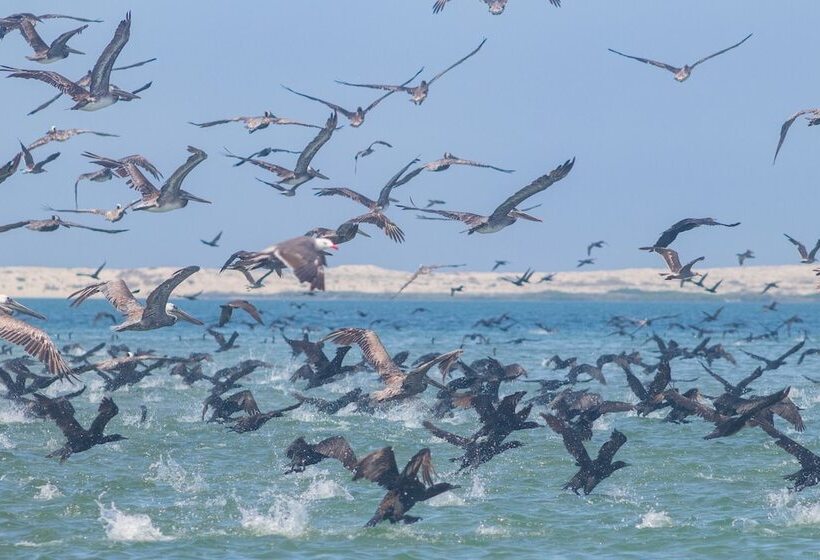 ホテル Villas Mar Y Arena