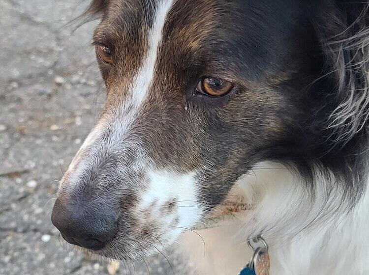 House Of 1833 Bed And Breakfast