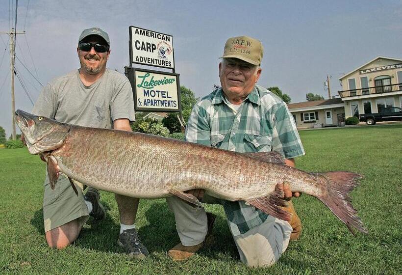 Lakeview Motel & Apartments
