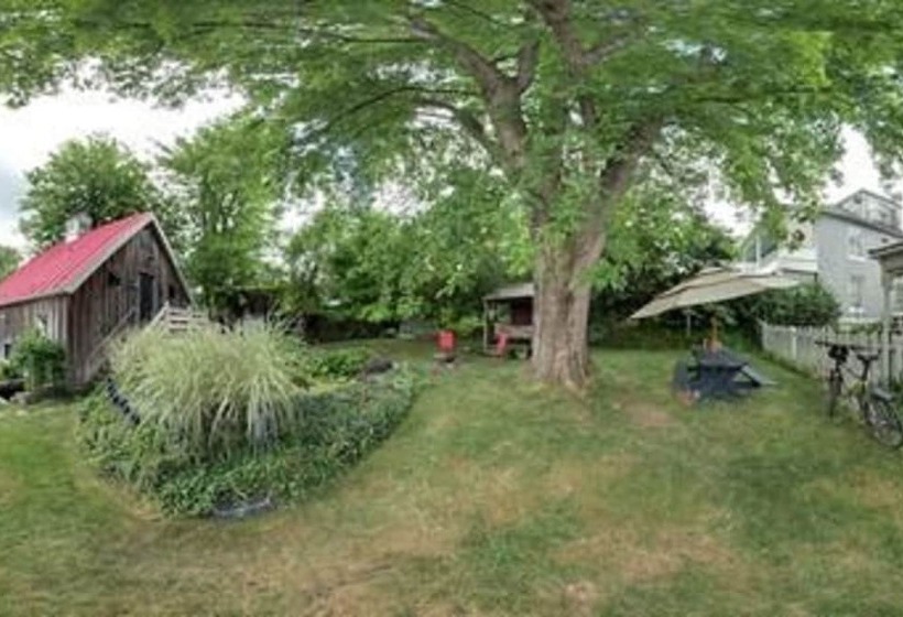 Lily Garden Bed And Breakfast