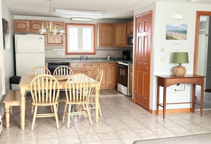 モーテル Abellona Inn & Suites