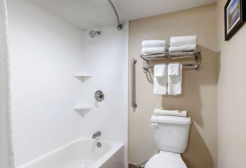 모텔 Comfort Inn & Suites Pinetop Show Low