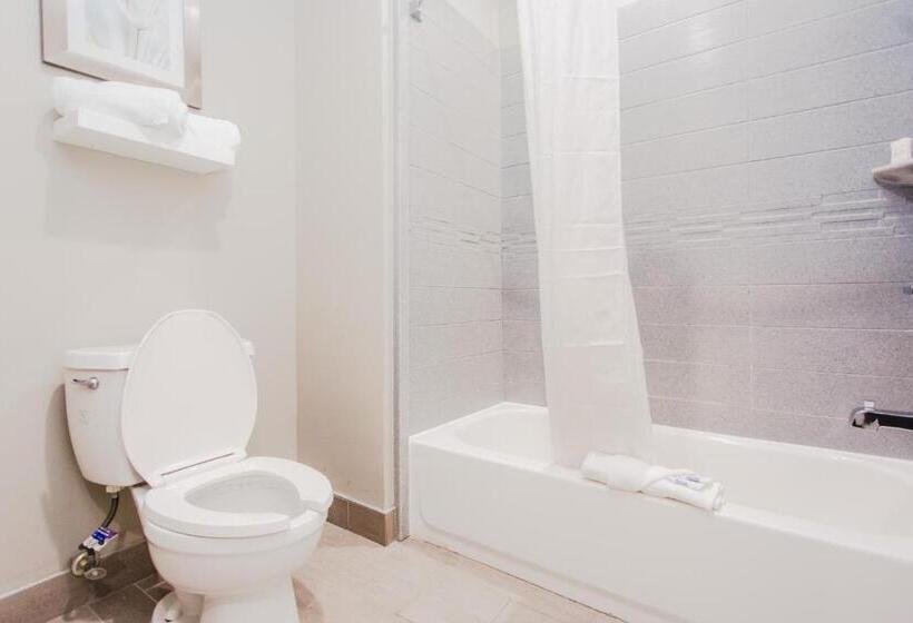 فندق على الطريق Express Inn  Spring