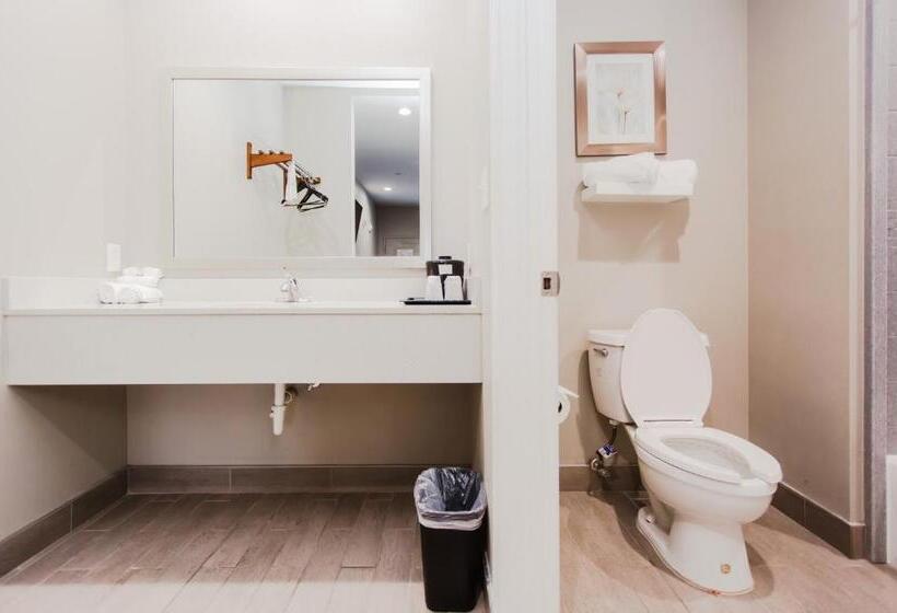 فندق على الطريق Express Inn  Spring