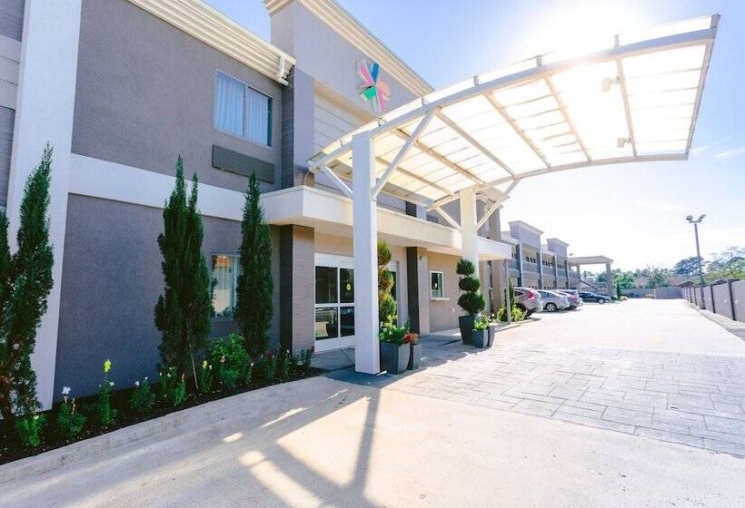 فندق على الطريق Express Inn  Spring