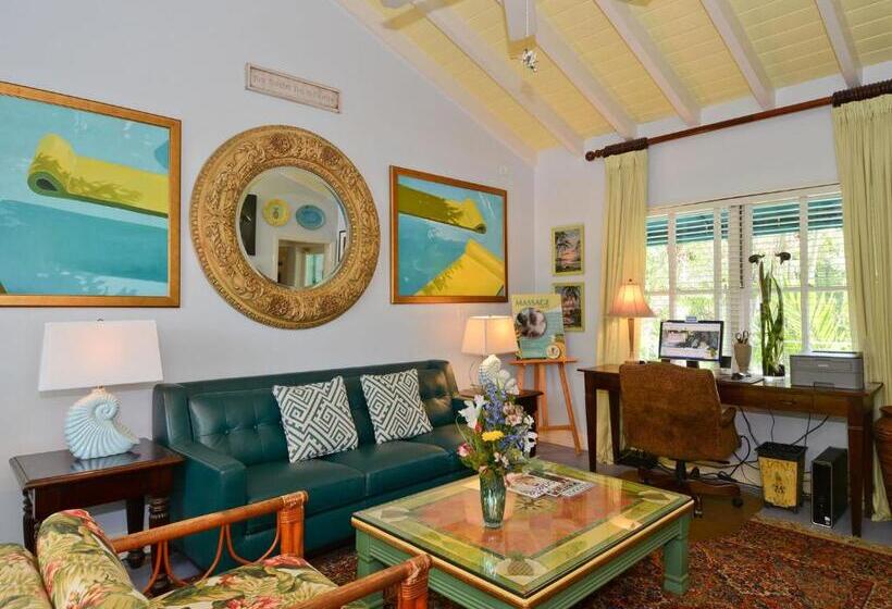 Pineapple Point Guesthouse & Resort Gay Men S Resort