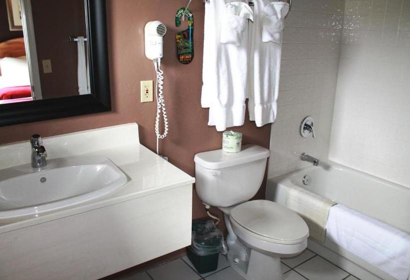 リゾートホテル Greer Peaks Lodge