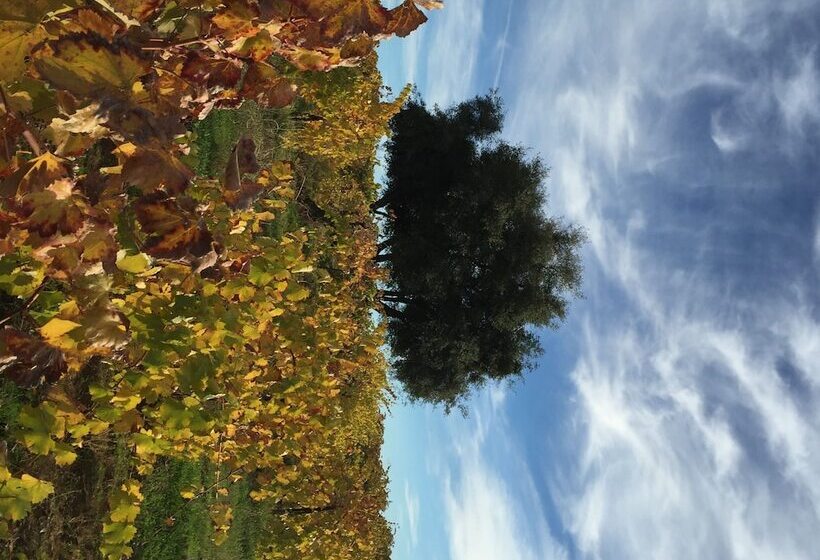 ホテル Rest, A Boutique