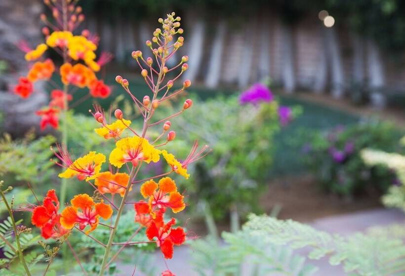 Santiago Resort   Palm Springs Premier Gay Men’s Resort