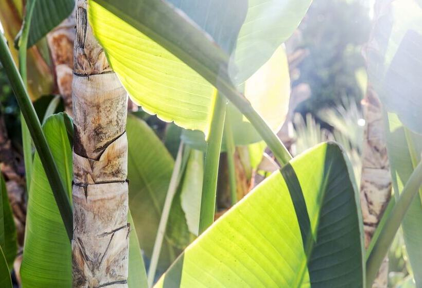 Santiago Resort   Palm Springs Premier Gay Men’s Resort