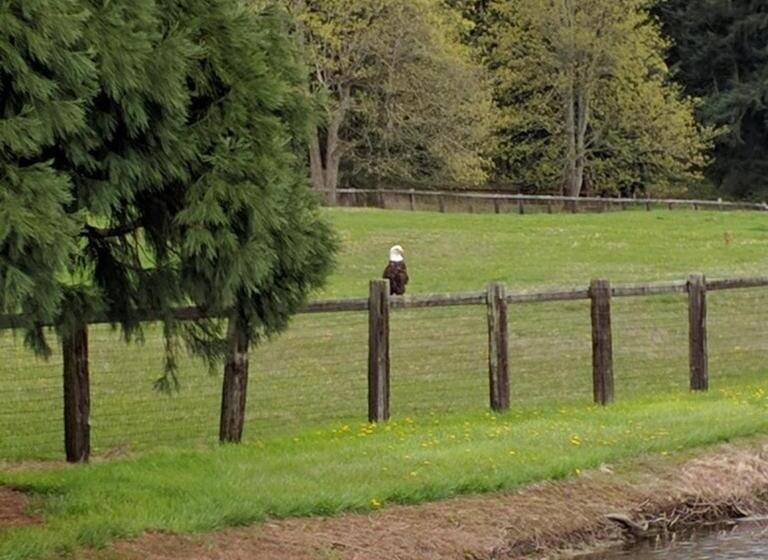 Wildwood Farm Bed & Breakfast
