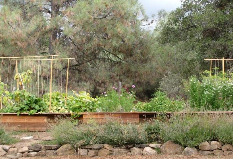 Yosemite Rose Bed And Breakfast