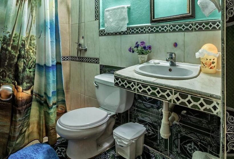 تختخواب و صبحانه Casa Ama