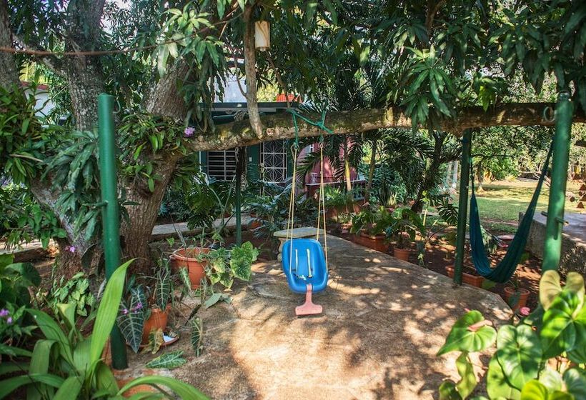 تختخواب و صبحانه Hostal Doña Amalia Cuba