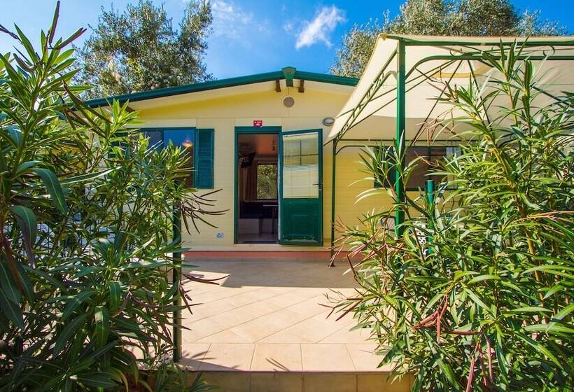 Отель Camping Oliva Mobile Homes