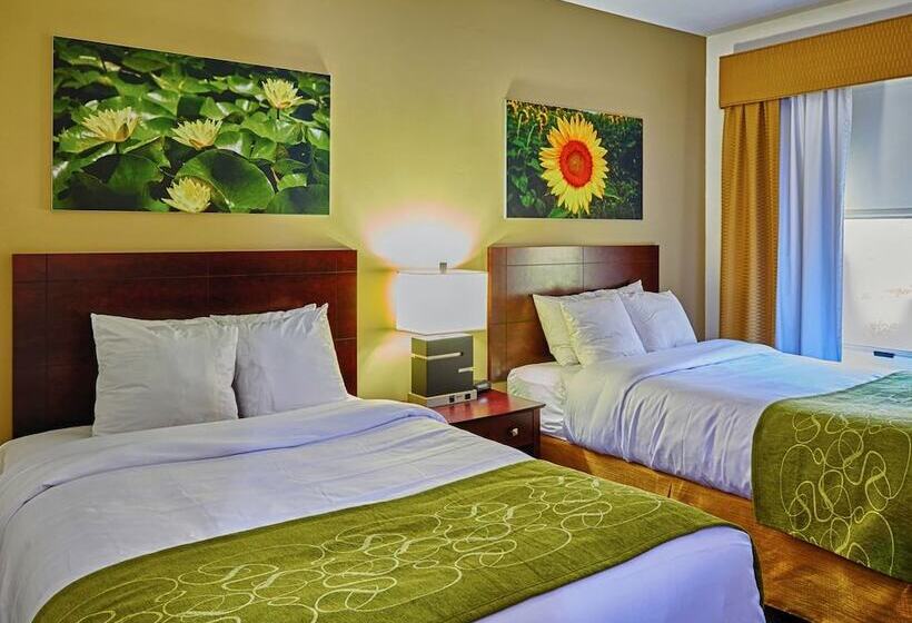 בית מלון כפרי Ornl Guest House