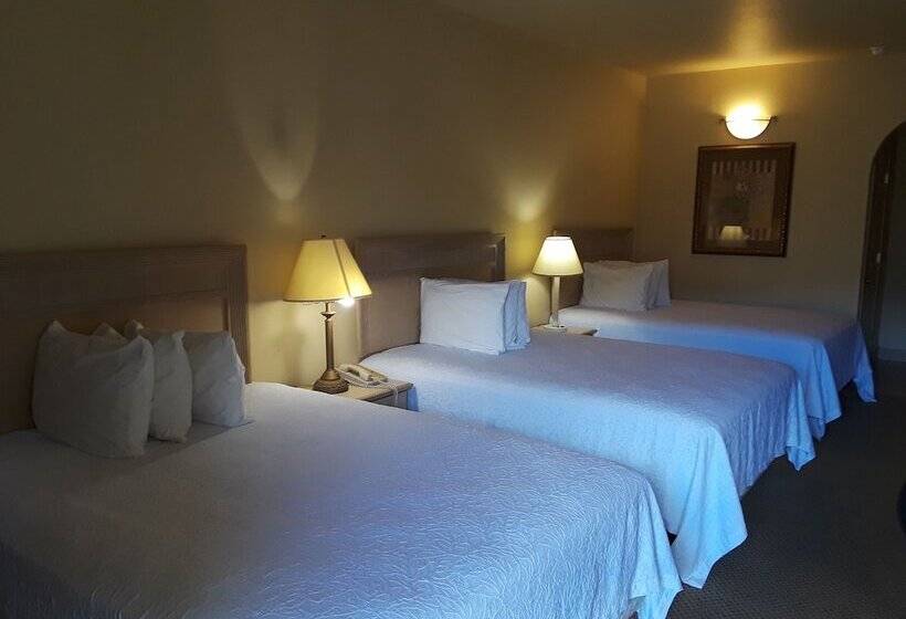 Мотель Sunbridge Inn & Suites