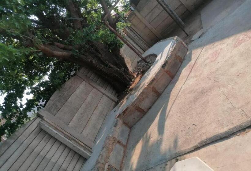 פנסיון Cooper Ville Lite