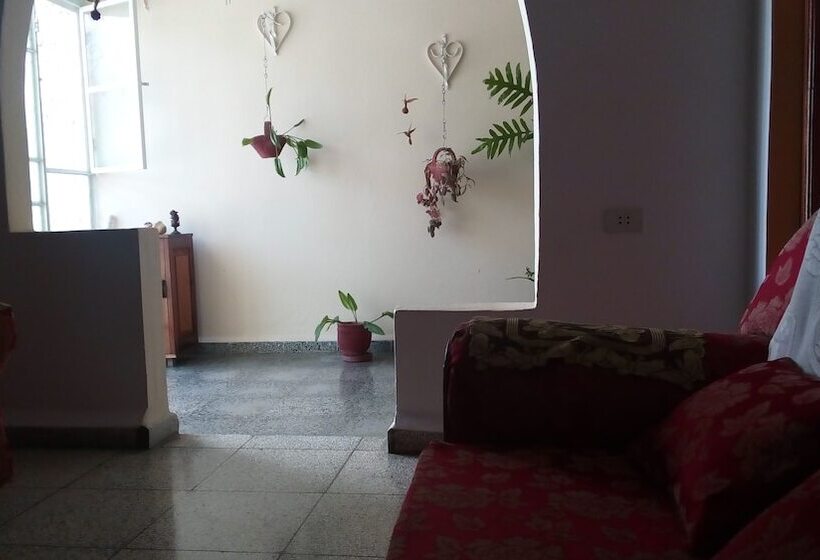 پانسیون I Colibrí