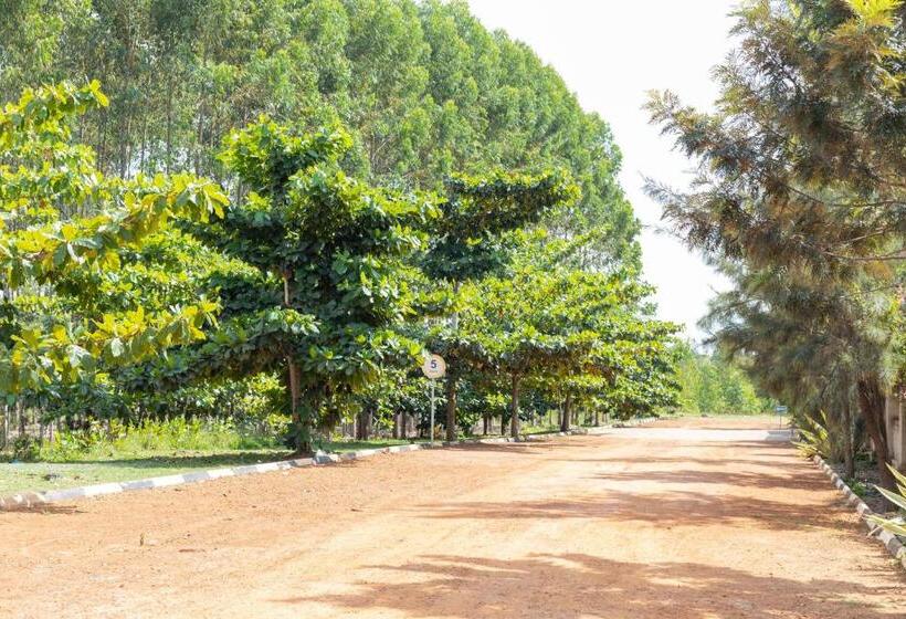 Sun City Hotel & Amuzement Park Soroti