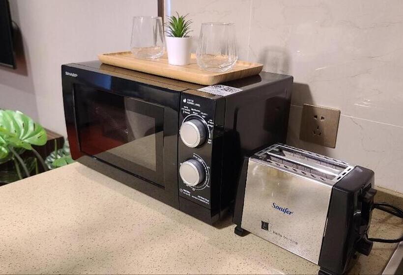 A New And Luxurious Vientiane Suite Apartment