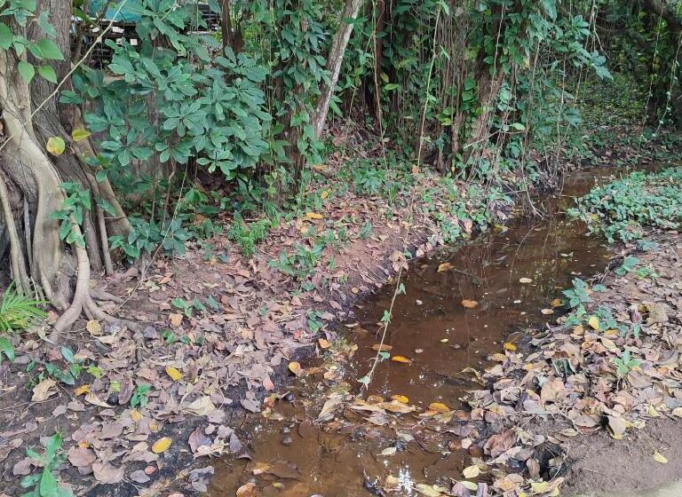 הוסטל 71 Umvoti Backpackers