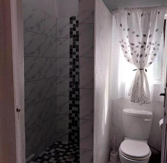 הוסטל 71 Umvoti Backpackers