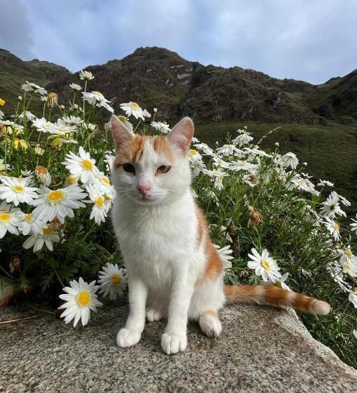 Albergue Casa De Piedra Vaquería