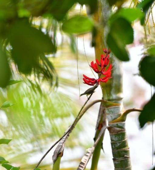 Banmaihom Resort Amphawa