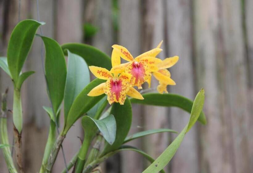 Banmaihom Resort Amphawa