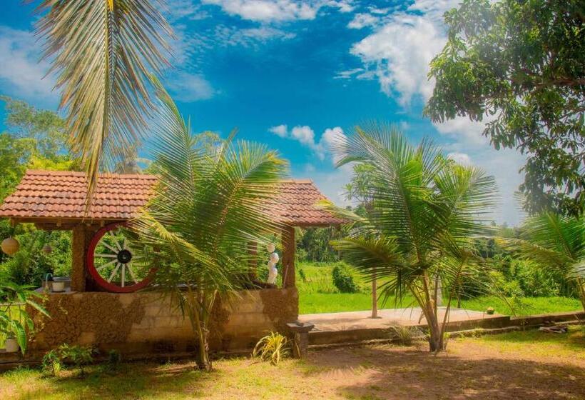 Bed and Breakfast Eagle Resort